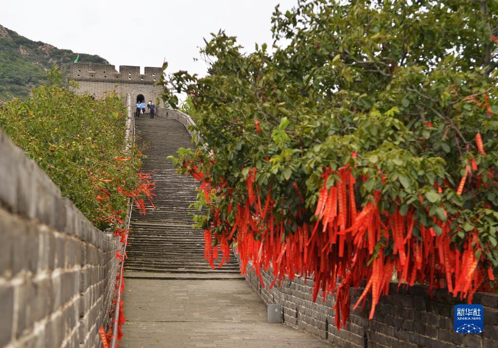 怎么用花呗充值快币